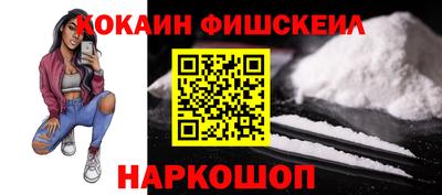 гидропоника Камышлов