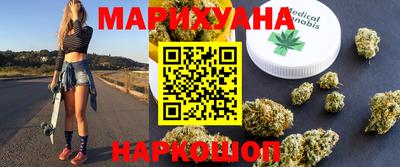 гидропоника Камышлов