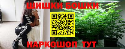гидропоника Камышлов