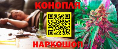 стафф Кандалакша