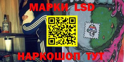 гидропоника Камышлов