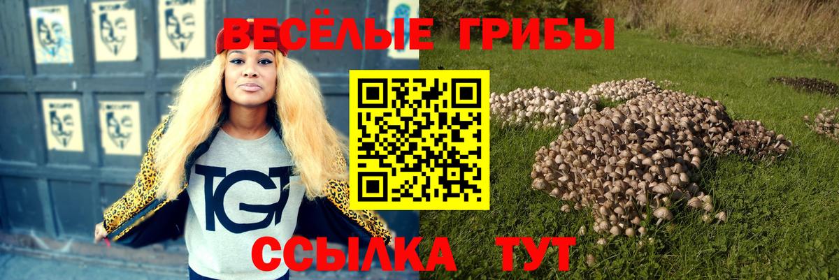 Галлюциногенные грибы Magic Shrooms Ярославль